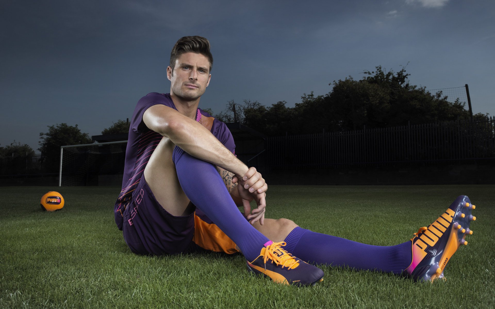 篮球球队赛季表现排行